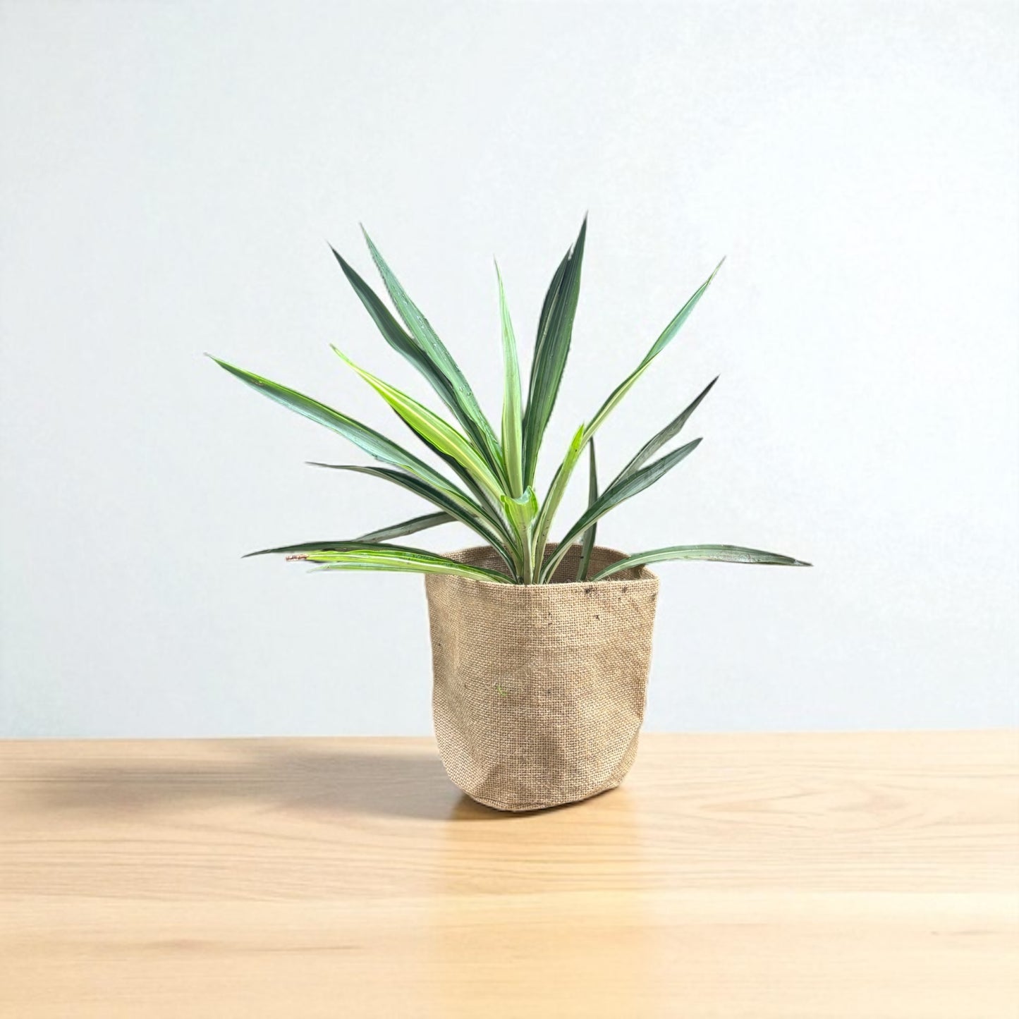 Planter Cover