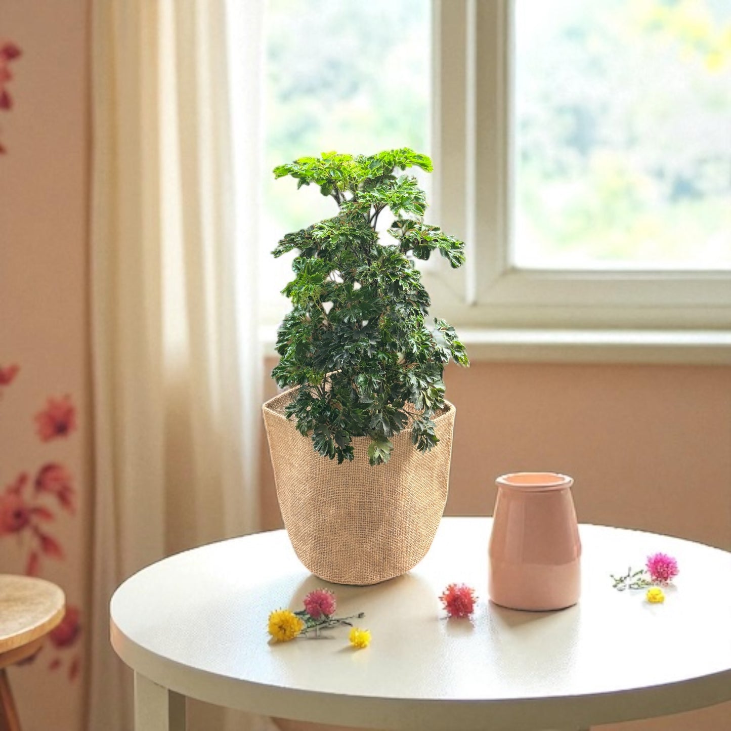 Planter Cover
