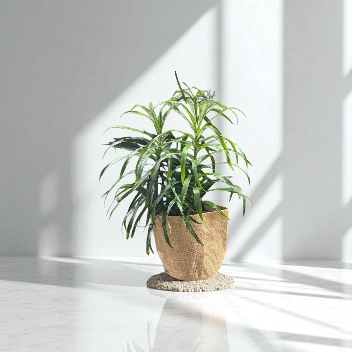 Planter Cover
