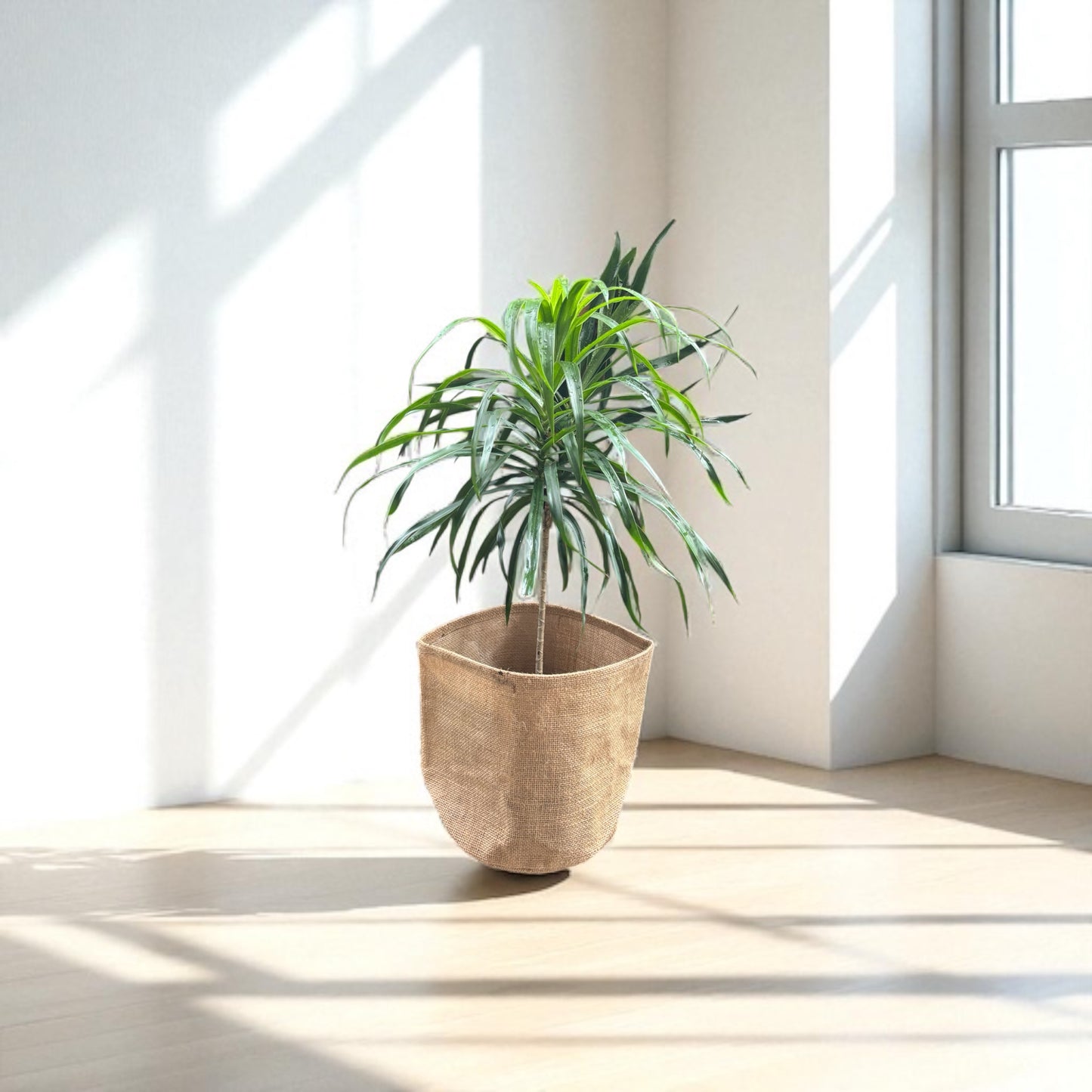 Planter Cover