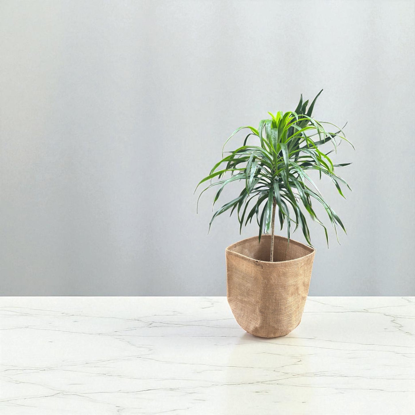 Planter Cover