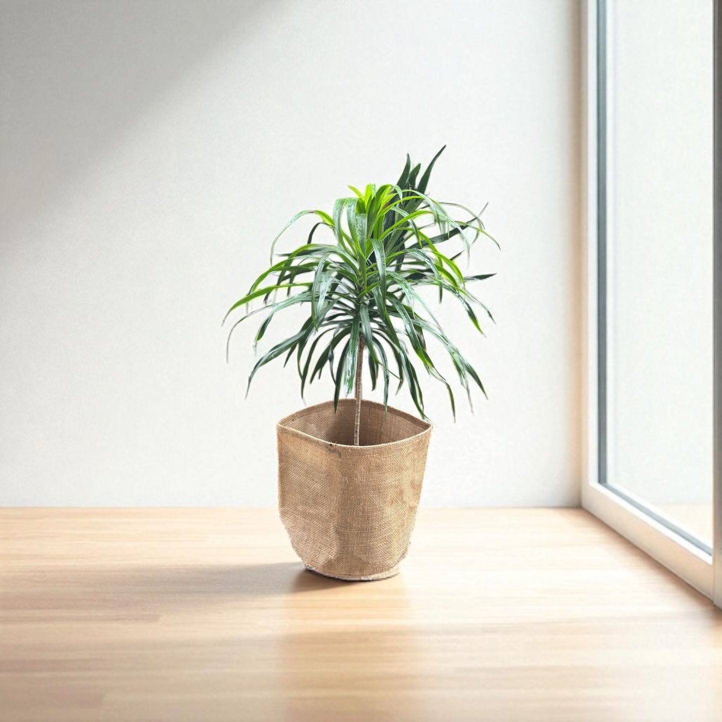 Planter Cover