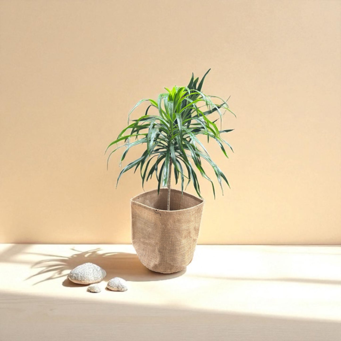 Planter Cover