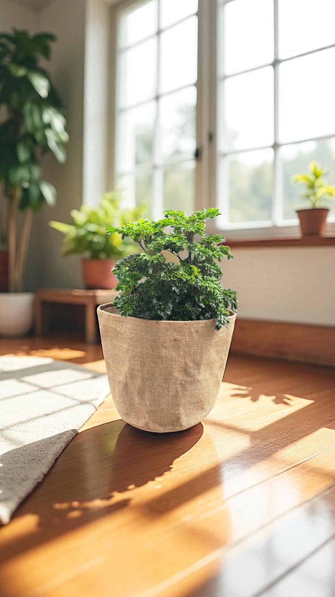 Planter Cover
