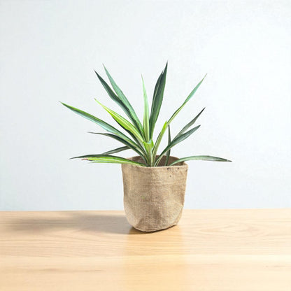 Planter Cover