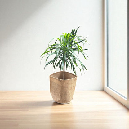 Planter Cover