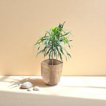 Planter Cover
